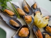 gastronomia_g_002