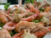 gastronomia_g_009