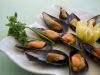 gastronomia_g_010