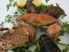 gastronomia_g_013